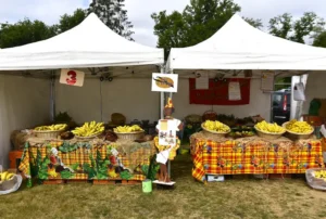 festival outremer (14)